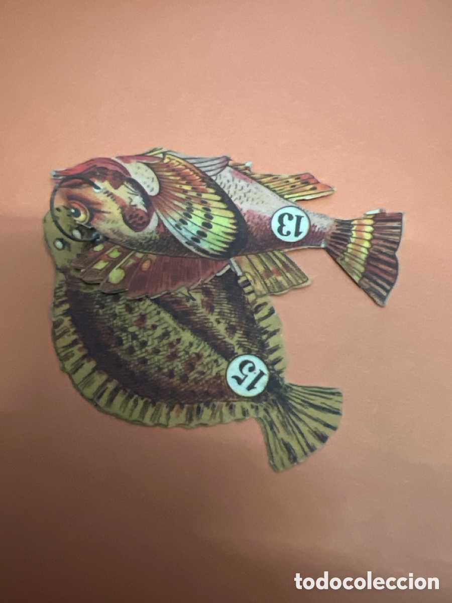 Outros artigos de papel: T1/F5/B13. CROMOS ANTIGUOS- PECES