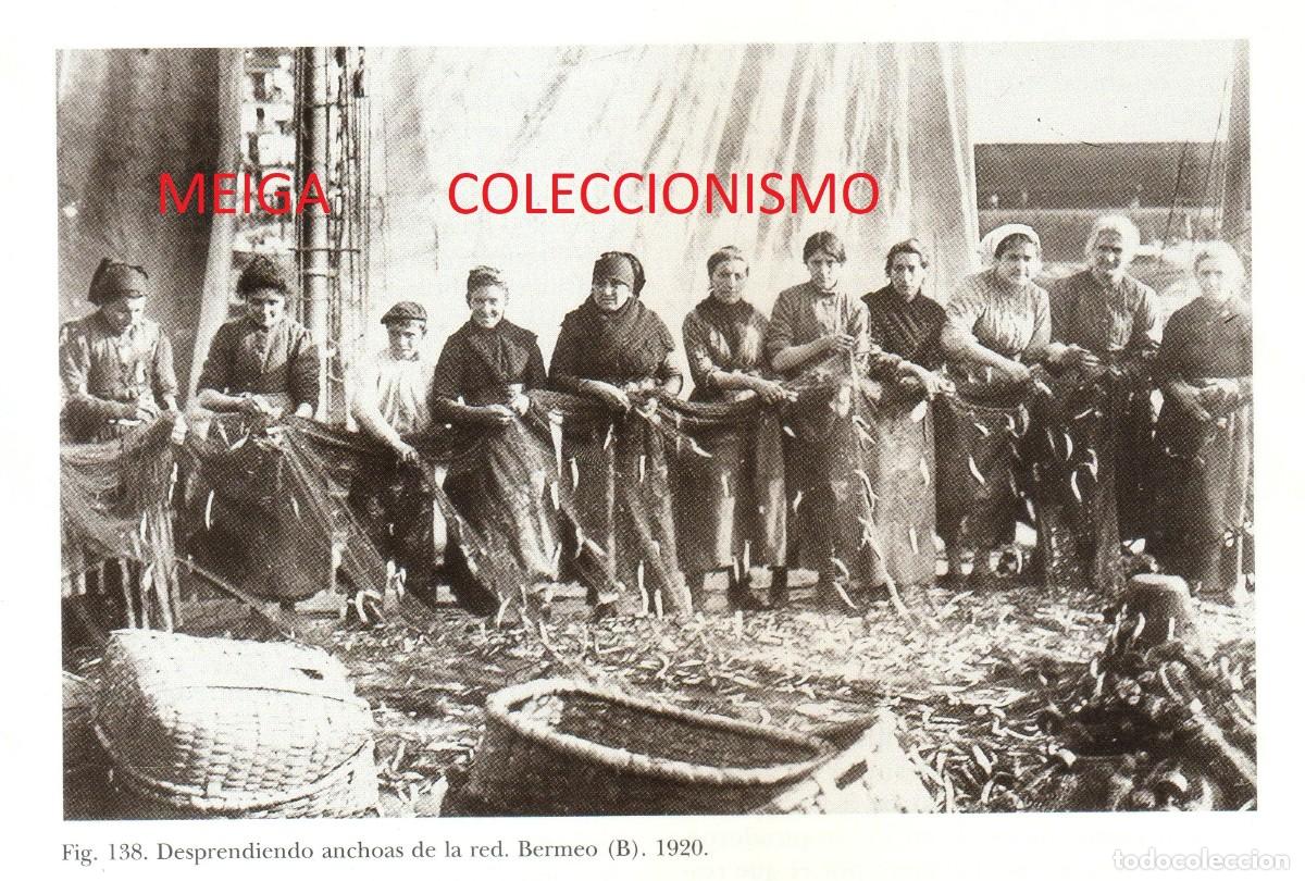 Altri oggetti di carta: �Q8 - [A&Ntilde;O 1920]. PAIS VASCO. BERMEO. DESPRENDIENDO ANCHOAS. ETNOGRAFIA. [LEER DESCRIPCION].