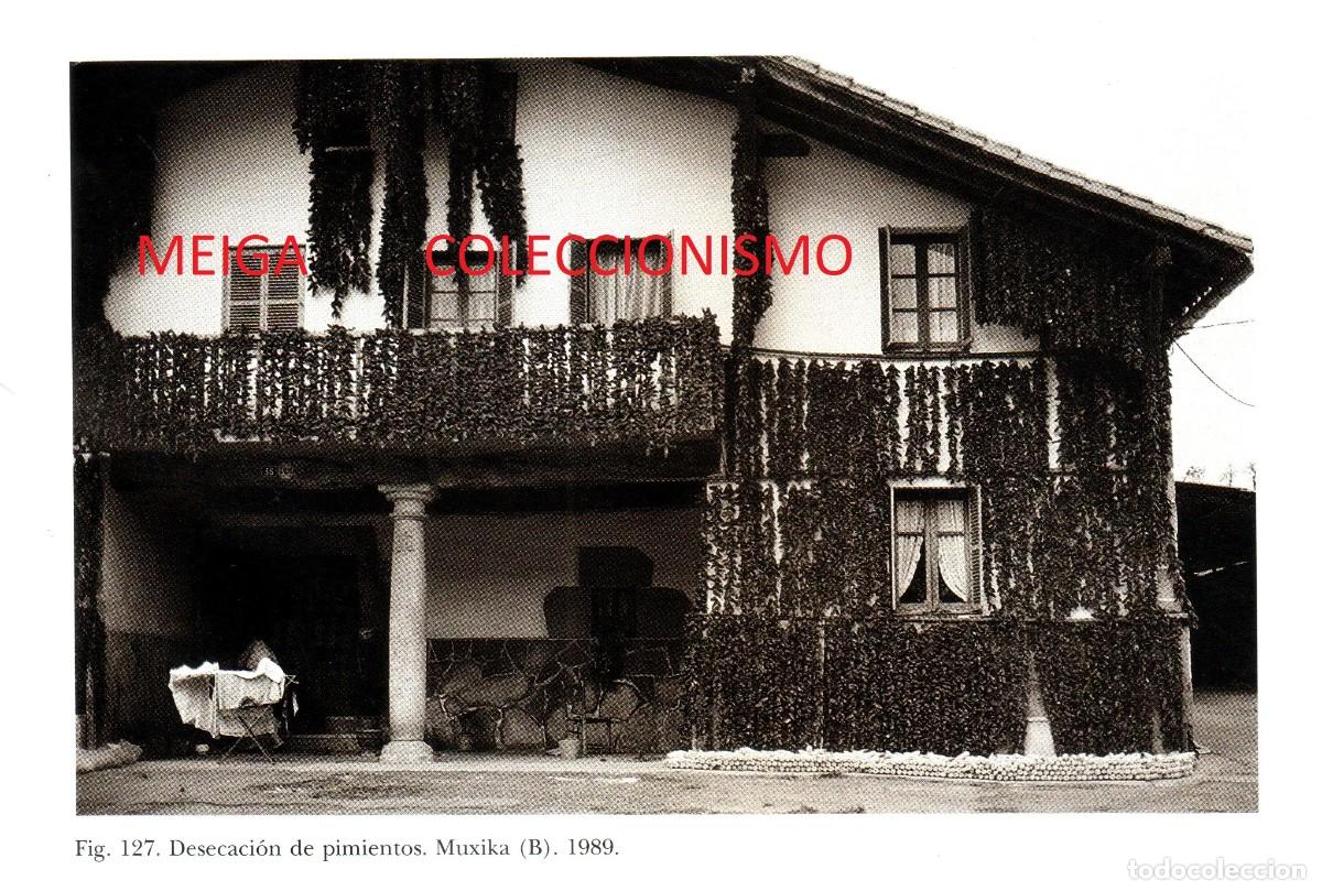 Altri oggetti di carta: �Q10 - PAIS VASCO. MUXIKA. DESECACION DE PIMIENTOS. ETNOGRAFIA. [LEER DESCRIPCION].