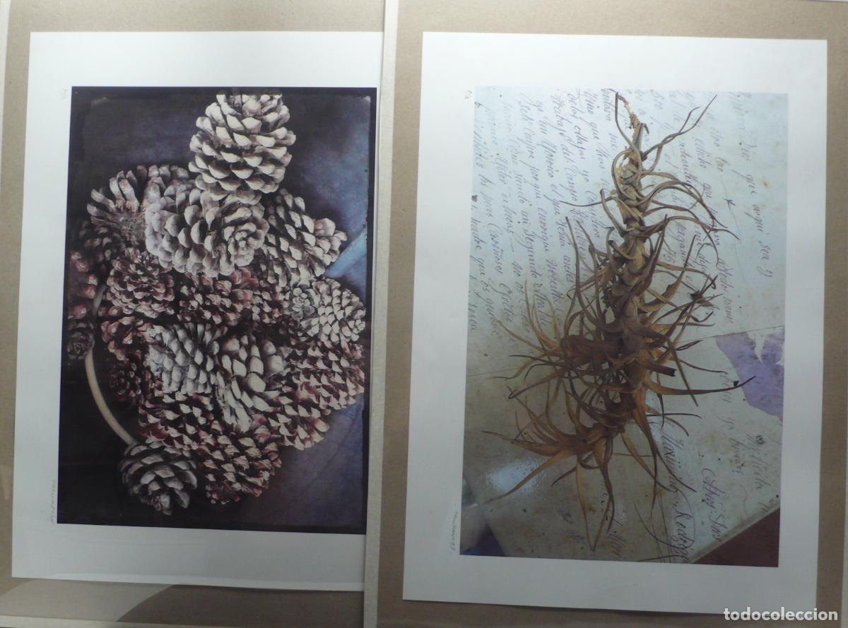 Otros art&iacute;culos de coleccionismo en papel: IMPRESOS PARA DECORAR - Foto 1