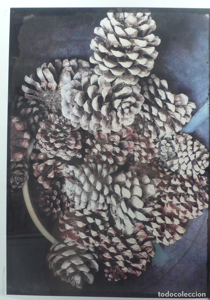 Otros art&iacute;culos de coleccionismo en papel: IMPRESOS PARA DECORAR - Foto 3