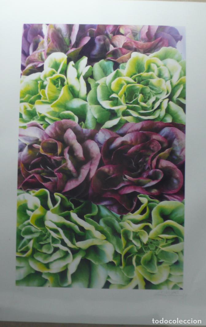 Otros art&iacute;culos de coleccionismo en papel: IMPRESOS PARA DECORAR - Foto 2