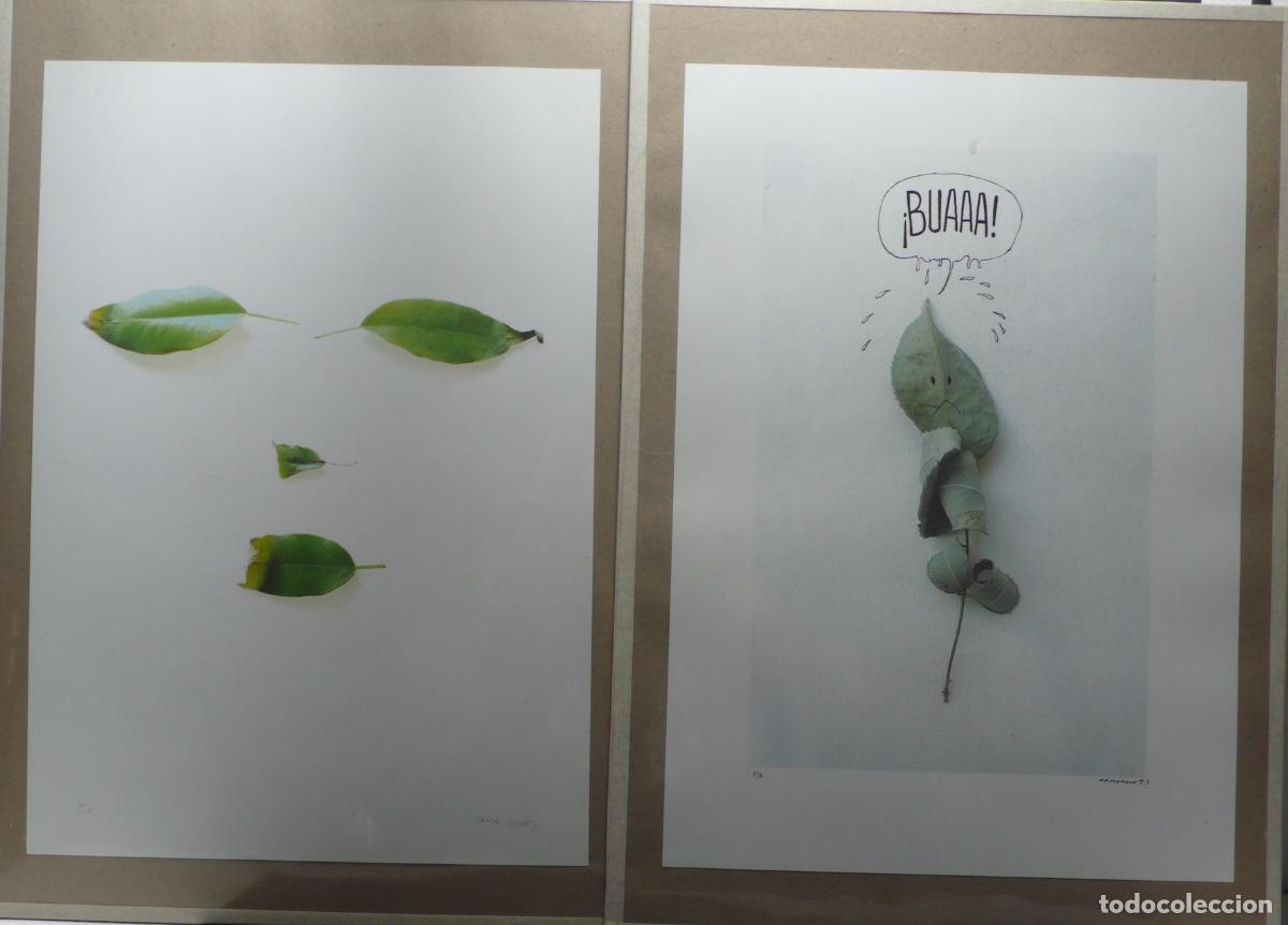 Otros art&iacute;culos de coleccionismo en papel: IMPRESOS PARA DECORAR - Foto 1