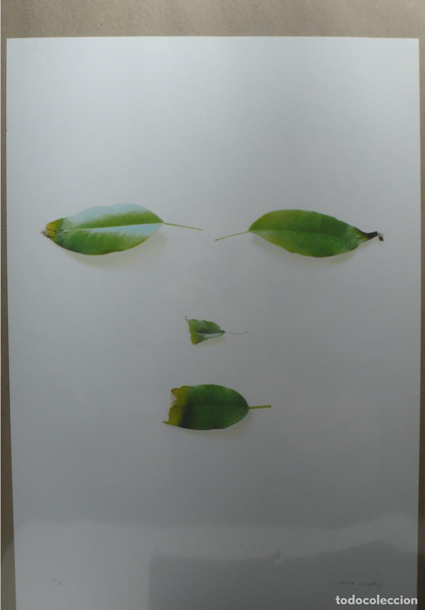 Otros art&iacute;culos de coleccionismo en papel: IMPRESOS PARA DECORAR - Foto 3