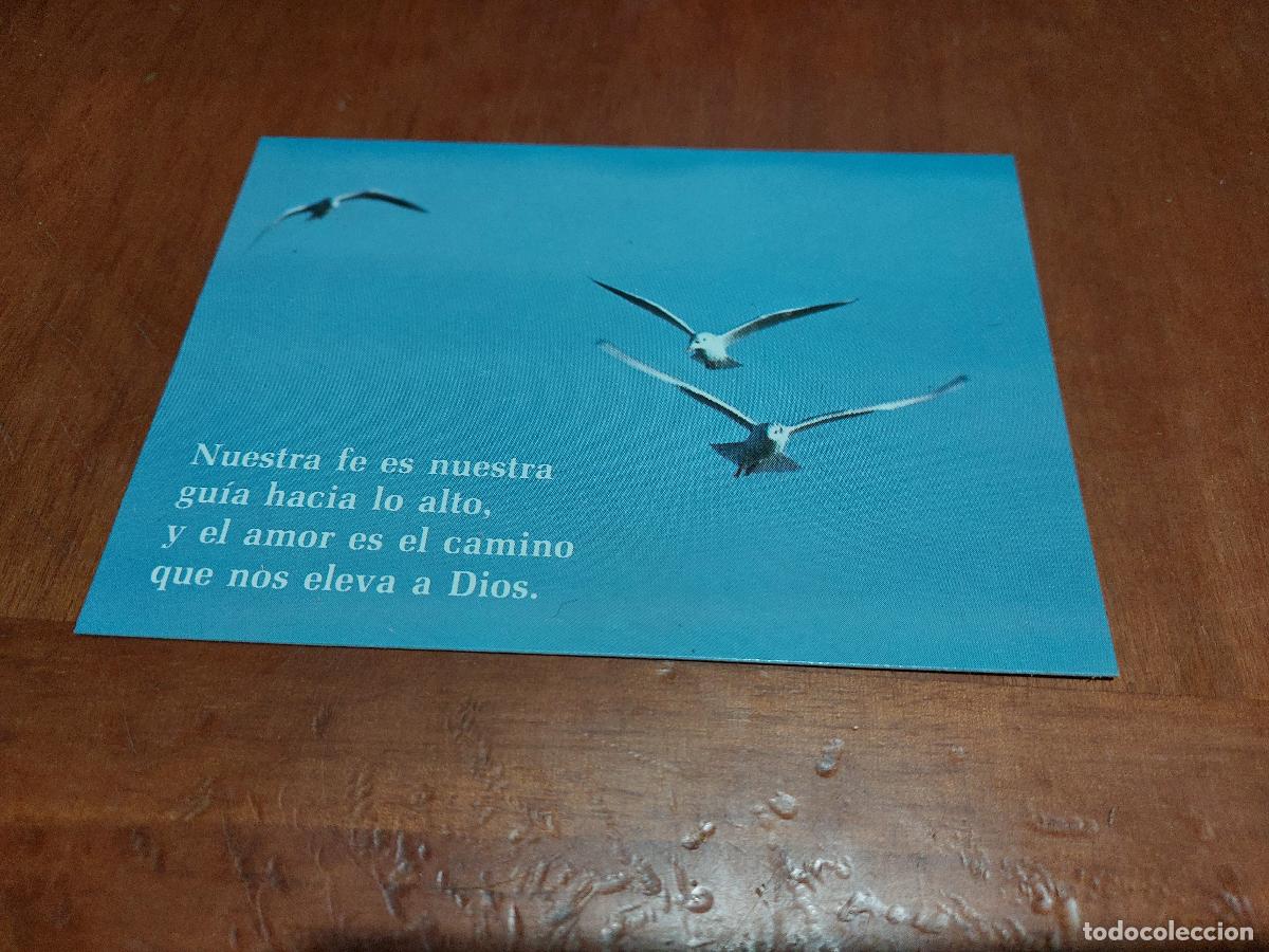 Sammelleidenschaft Andere Papierartikel: GAVIOTAS. HUESTRA FE ES NUESTRA GUIA.... TARJET&Oacute;N. BUEN ESTADO. DIFICIL. C-14