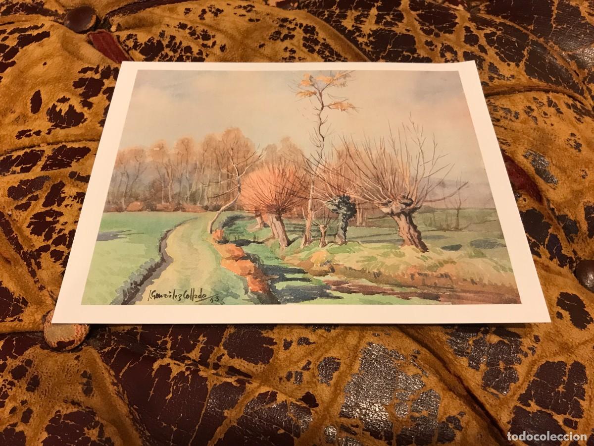 Collectionnisme Papier divers: INVITACI&Oacute;N. JOS&Eacute; GONZALEZ COLLADO. 2008, FERROL. CARTULINA. 19 X 14,5CM