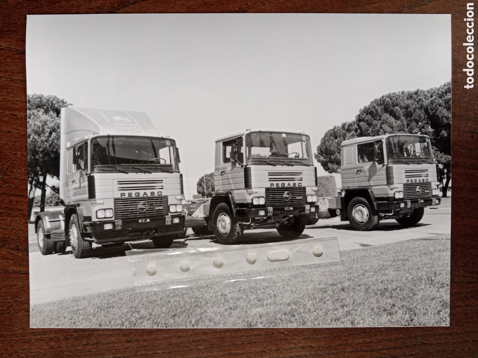 Otros Art&iacute;culos de Coleccionismo en Papel: Fotograf&iacute;a cami&oacute;n Pegaso 1231