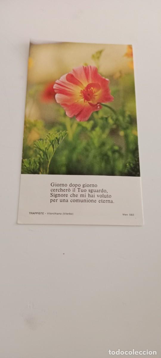 Outros artigos de papel: C-MART EL DE FOTO GIORNO DOPO