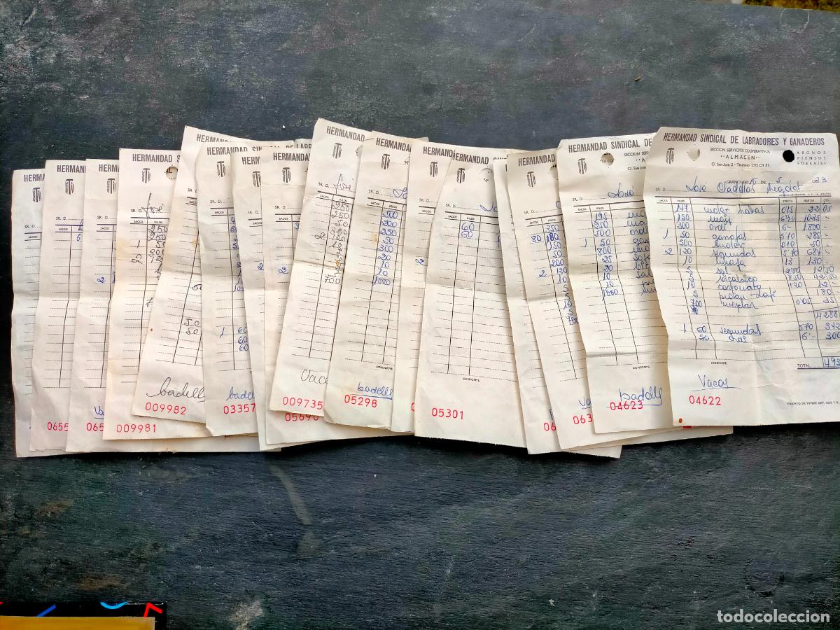 Collectionnisme Papier divers: Facturas recibos almac&eacute;n hermandad sindical de labradores y ganaderos Granollers vacas a&ntilde;os 60-70