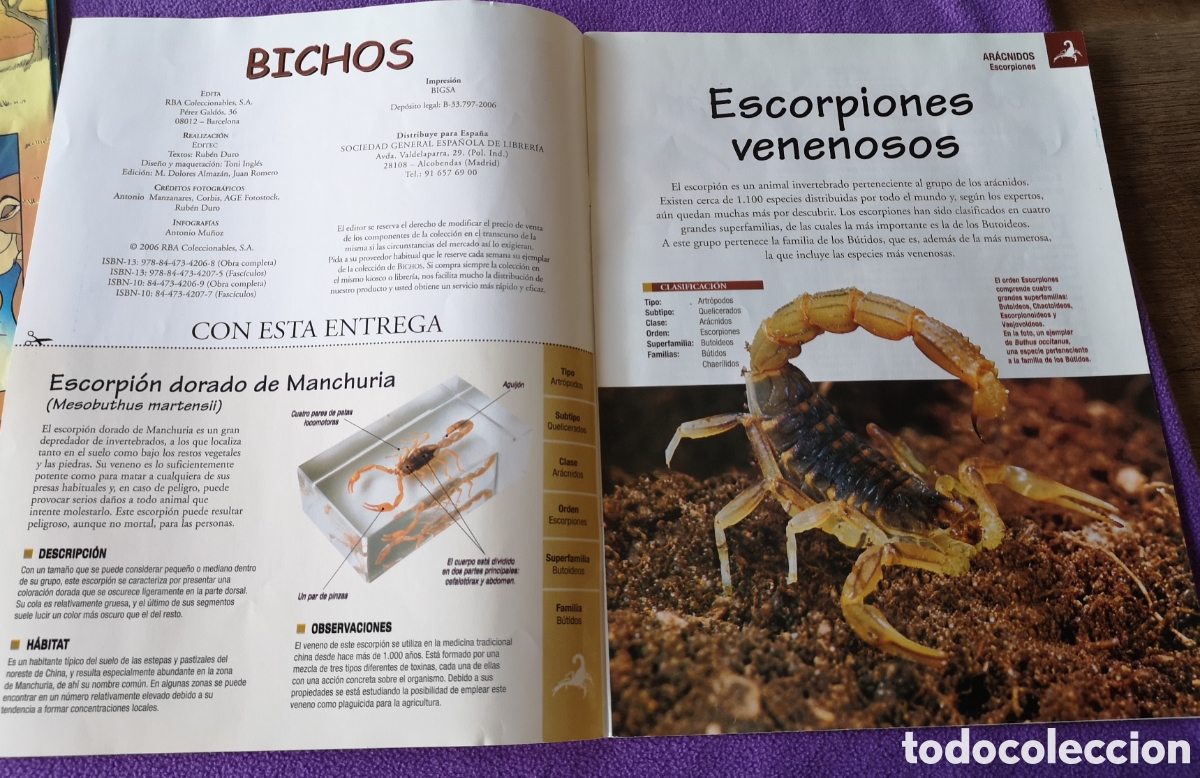 Otros art&iacute;culos de coleccionismo en papel: Fasc&iacute;culo Escorpi&oacute;n dorado - Foto 1