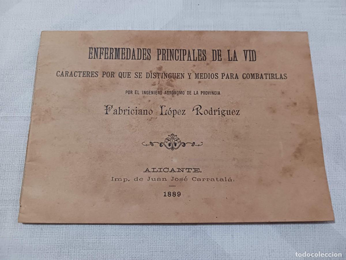 Otros Art&iacute;culos de Coleccionismo en Papel: ENFERMEDADES PRINCIPALES DE LA VID (1889) - CARACTERES POR QUE SE DISTINGUEN Y MEDIOS...