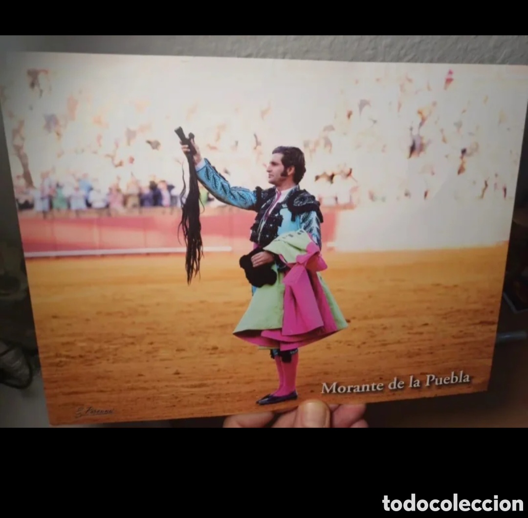 Otros art&iacute;culos de coleccionismo en papel: Morante rabo en Sevilla - Foto 1