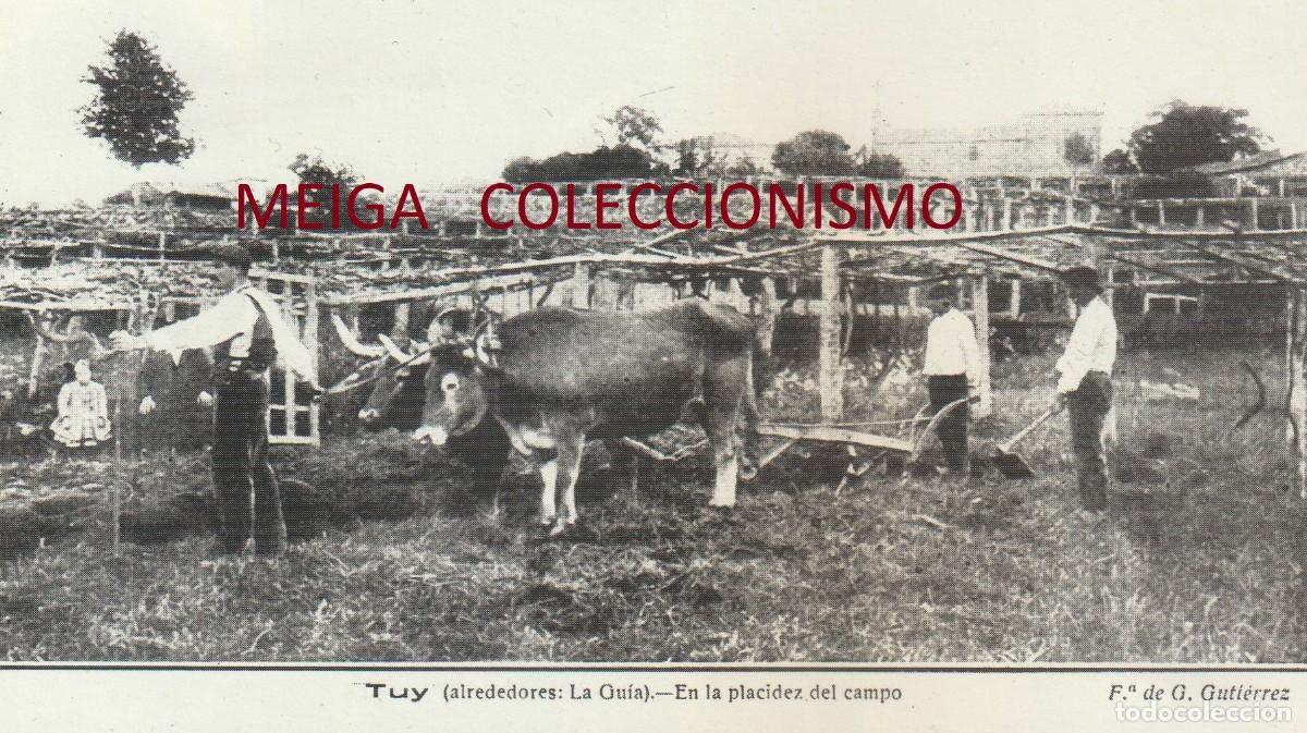 Paper Collecting Others: �Q328 - [A&Ntilde;O 1918]. LA GUIA. ALREDEDORES. ARADO. BUEYES. PONTEVEDRA. GALICIA. [LEER DESCRIPCION]