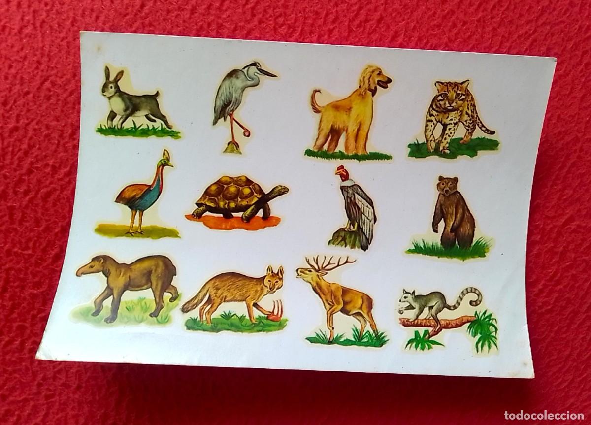 Otros Art&iacute;culos de Coleccionismo en Papel: ANTIGUA CALCOMAN&Iacute;A TRANSFER DECALCOMANIE DECAL CALCOMAN&Iacute;AS ORTEGA ANIMALES ANIMALS FAUNA FAUNE...