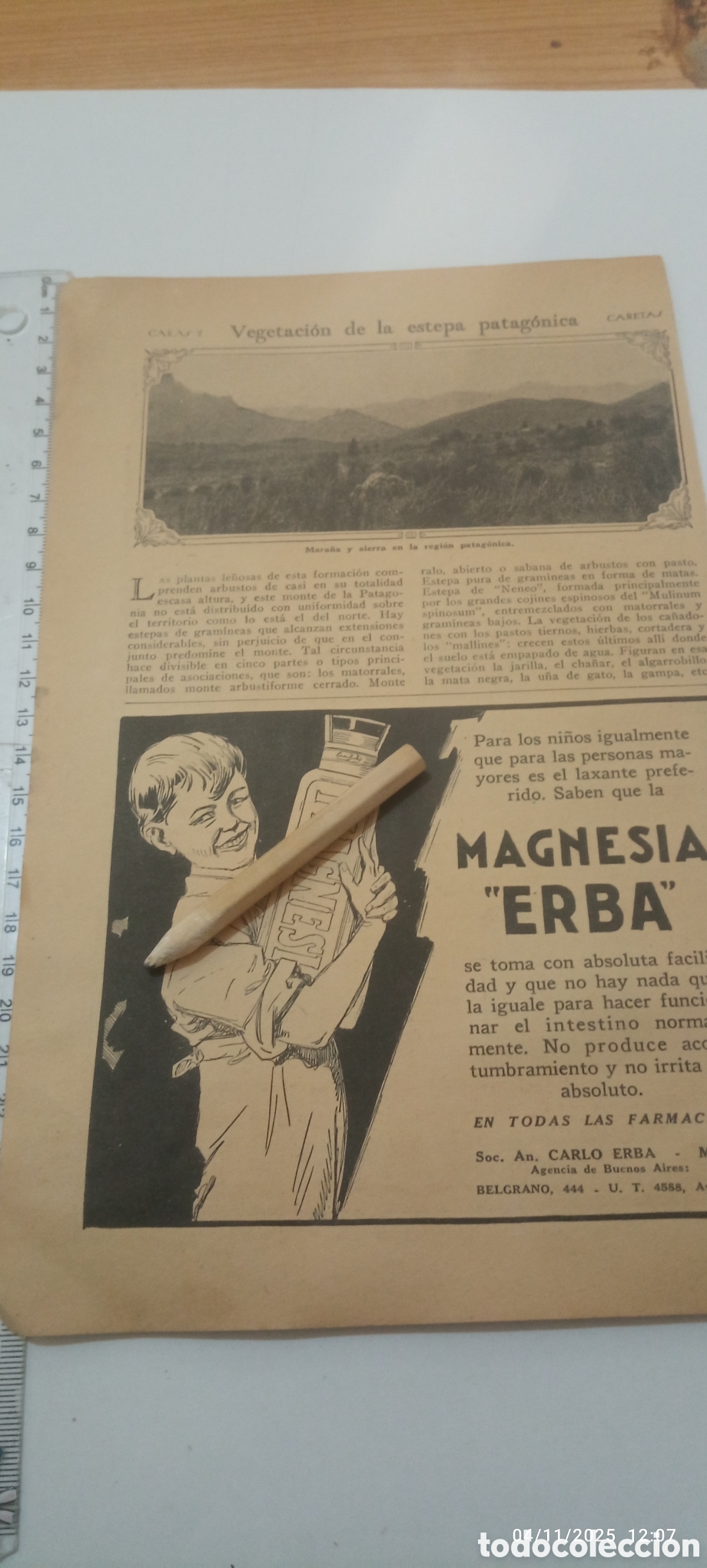 Otros Art&iacute;culos de Coleccionismo en Papel: A&Ntilde;O 1930 RECORTE PUBLICIDAD MAGNESIA ERBA - GUARDARROPAS SIRLIN HERMANOS MUEBLES