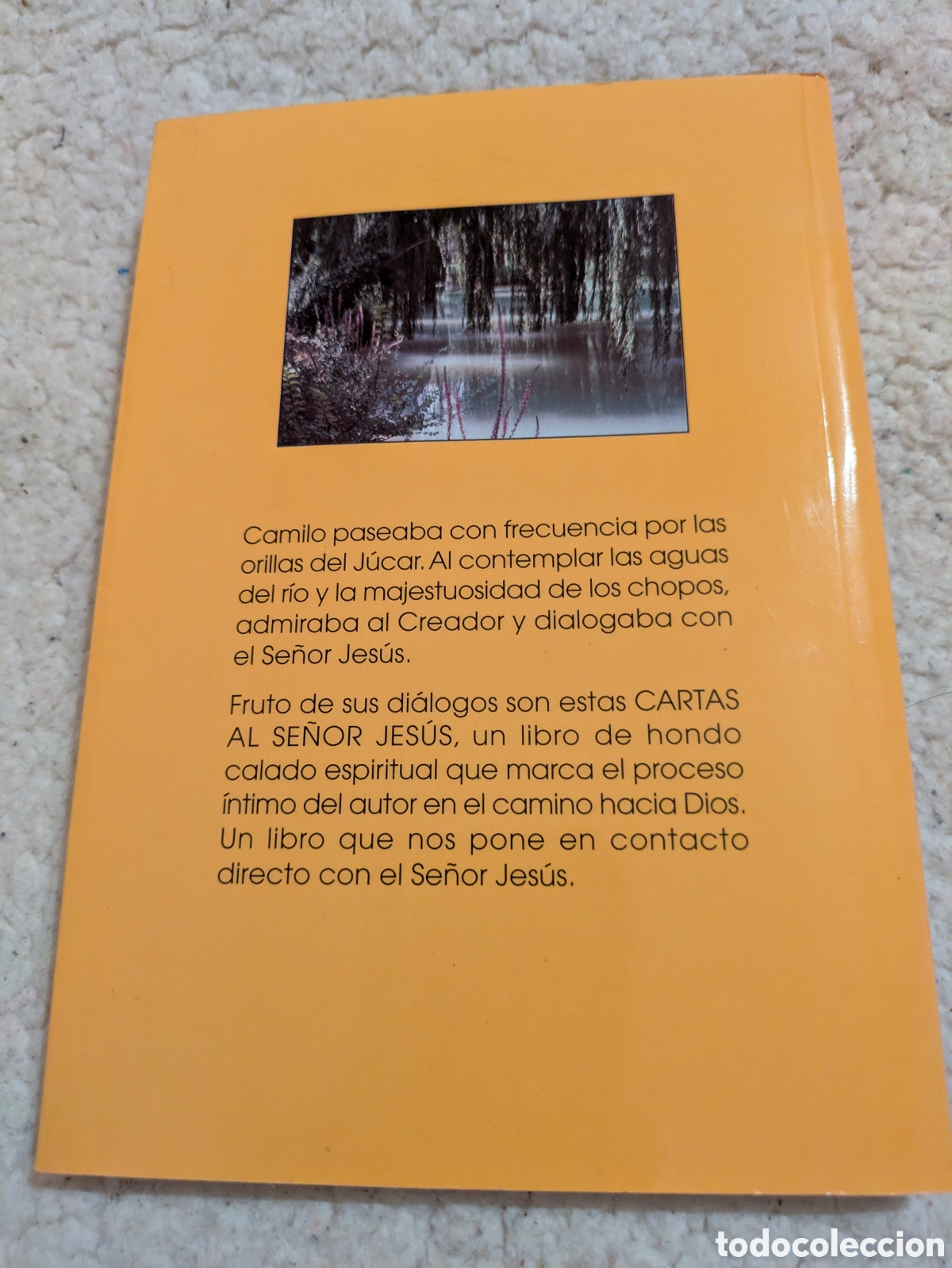 Otros art&iacute;culos de coleccionismo en papel: CARTAS AL SE&Ntilde;OR JES&Uacute;S - Foto 4