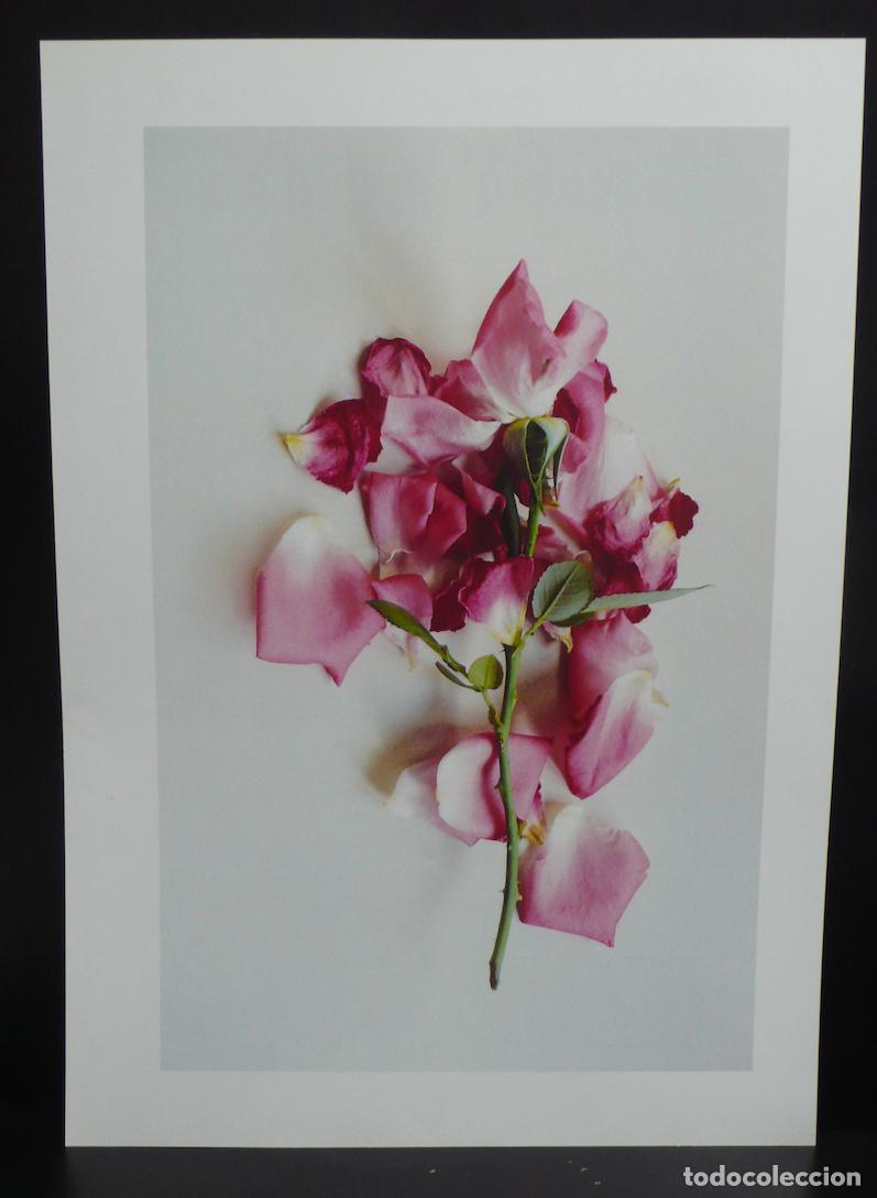 Otros art&iacute;culos de coleccionismo en papel: IMPRESOS PARA DECORAR - Foto 1
