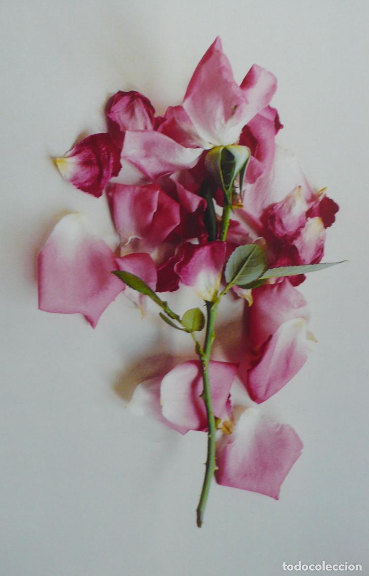 Otros art&iacute;culos de coleccionismo en papel: IMPRESOS PARA DECORAR - Foto 2