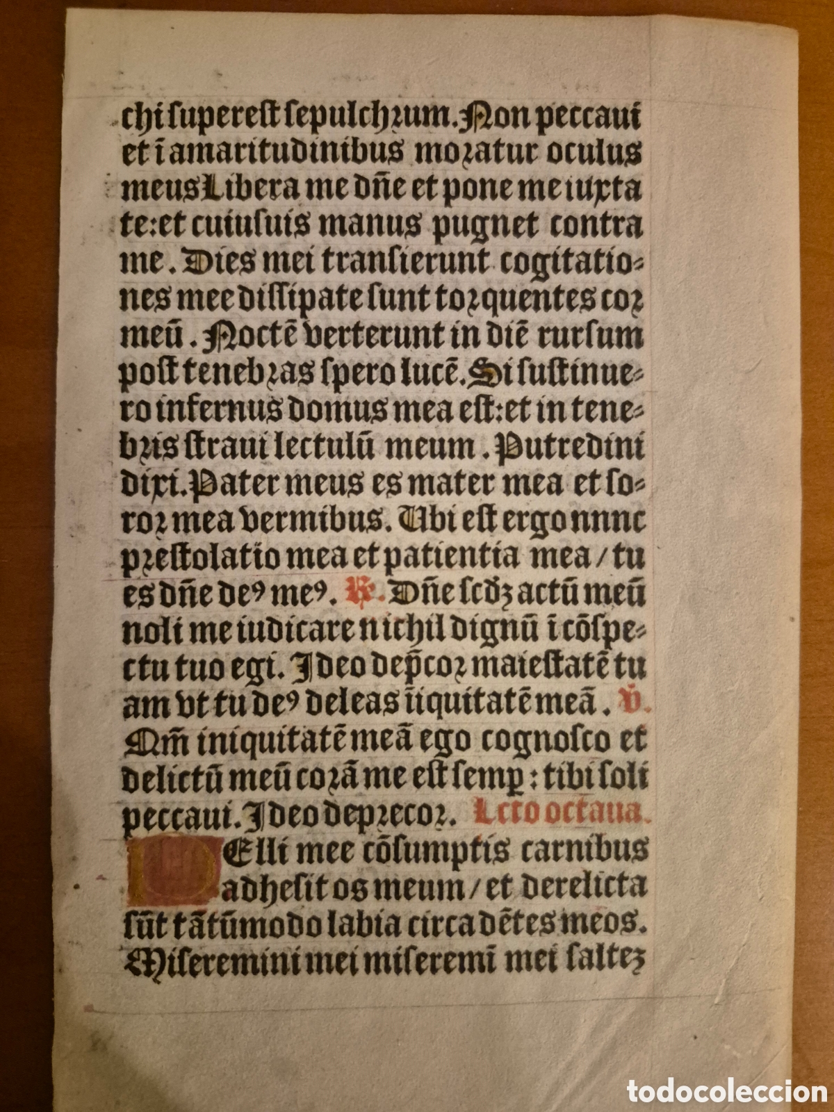 Otros art&iacute;culos de coleccionismo en papel: Hoja de manuscrito medieval - Foto 3