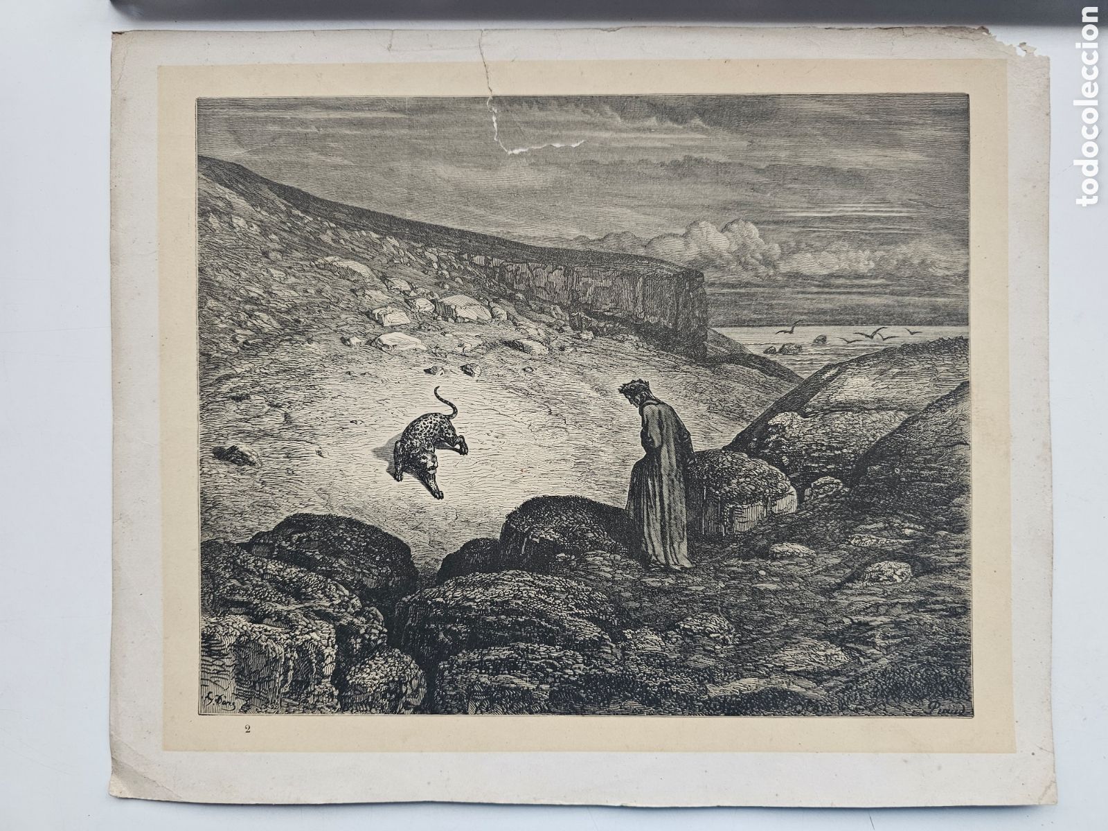 Paper Collecting Others: Grabado del s.XIX de Gustave Dor&eacute; Piaud ? Leopardo