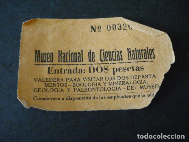Otros Art&iacute;culos de Coleccionismo en Papel: MADRID ENTRADA MUSEO NACIONAL DE CIENCIAS NATURALES