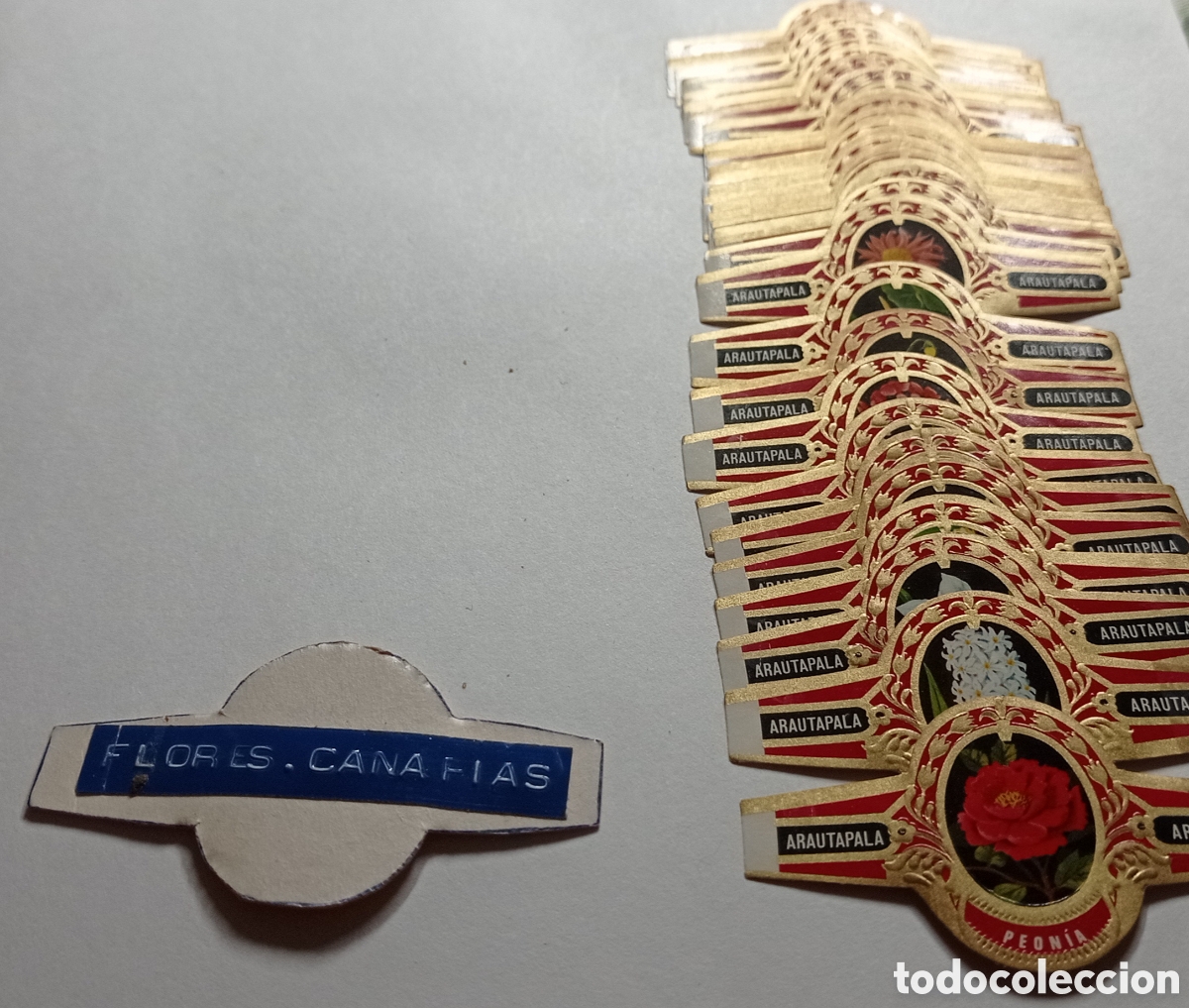 Otros Art&iacute;culos de Coleccionismo en Papel: Colecci&oacute;n vitolas flores canarias