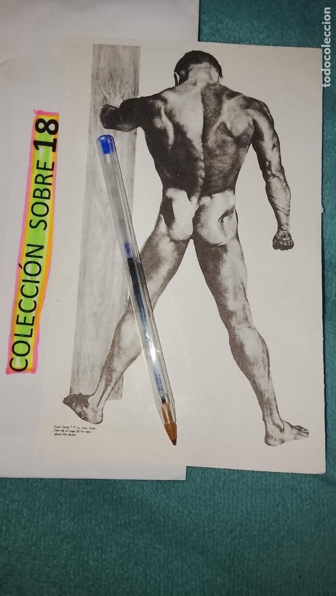 Otros Art&iacute;culos de Coleccionismo en Papel: hoja tematica gay artistica fotografica o comic hombre erotico desnudos culturismo homo sexo EROTICA