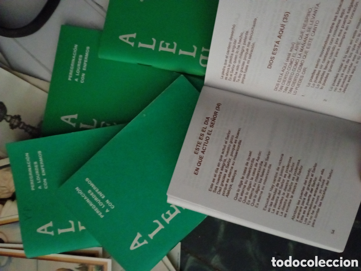 Sammelleidenschaft Andere Papierartikel: Librillo religioso Aleluya para Lourdes