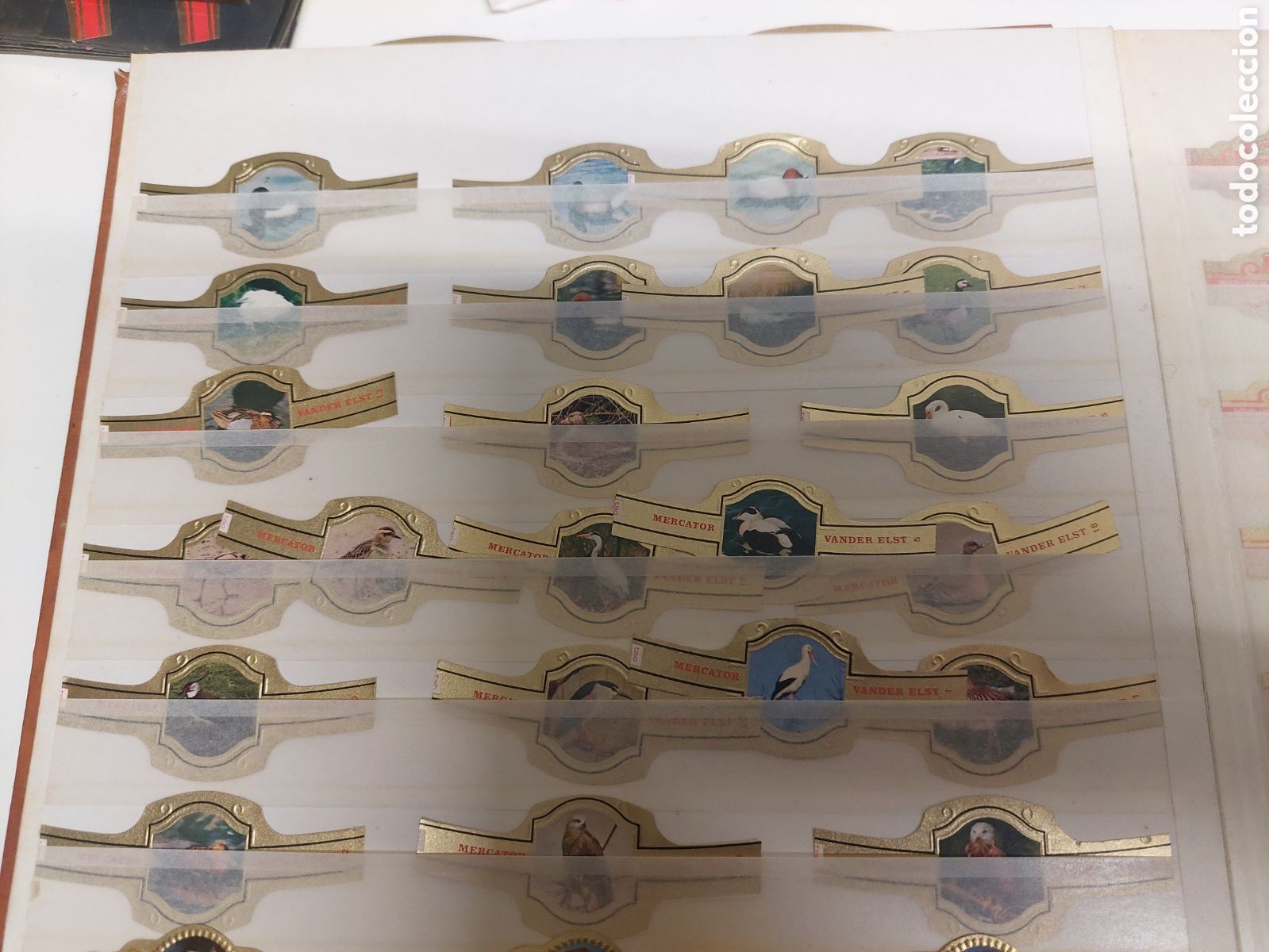 Otros Art&iacute;culos de Coleccionismo en Papel: FAUNA AVES VITOLAS VITOFILIA MERCATOS VANDER ELST