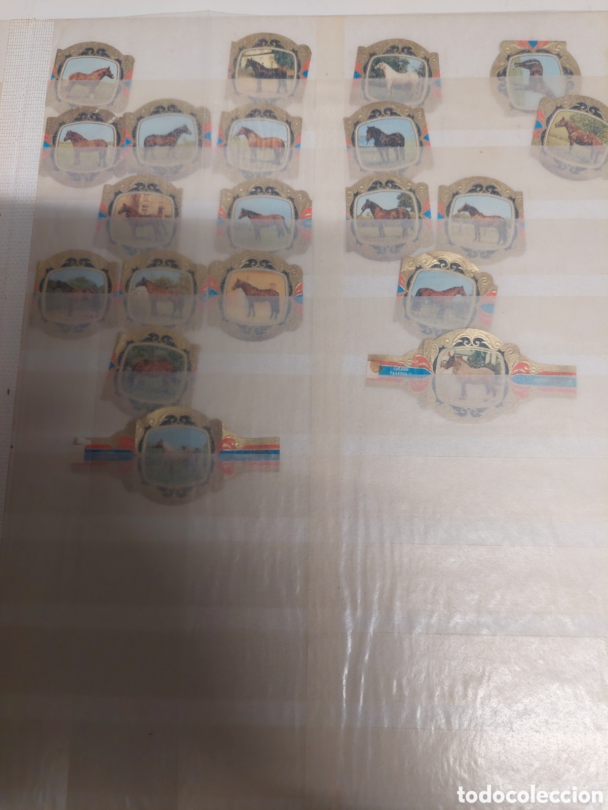 Collectionnisme Papier divers: CABALLOS VITOLAS VITOFILIA VINTAGE LUGANO