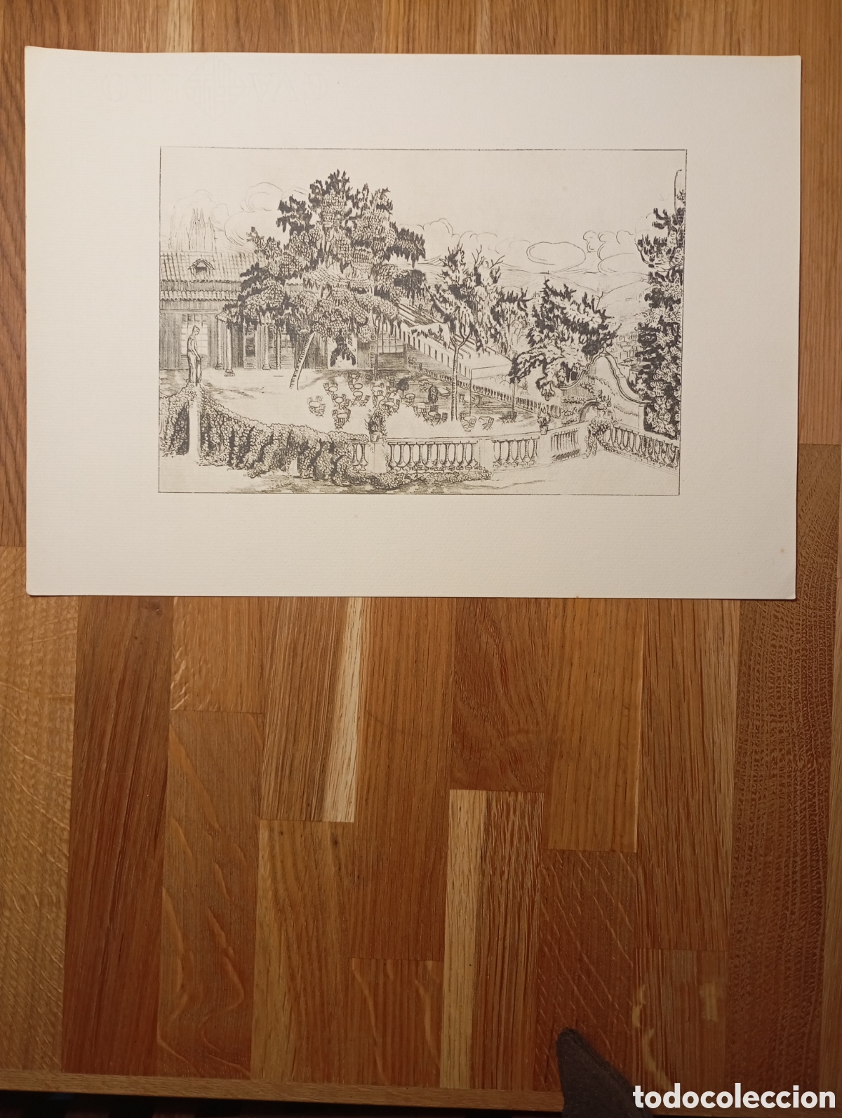 Otros Art&iacute;culos de Coleccionismo en Papel: Litografia.Parque de Montjuich, Restaurant de la &rdquo;&rdquo;Font del Gat&rdquo;.