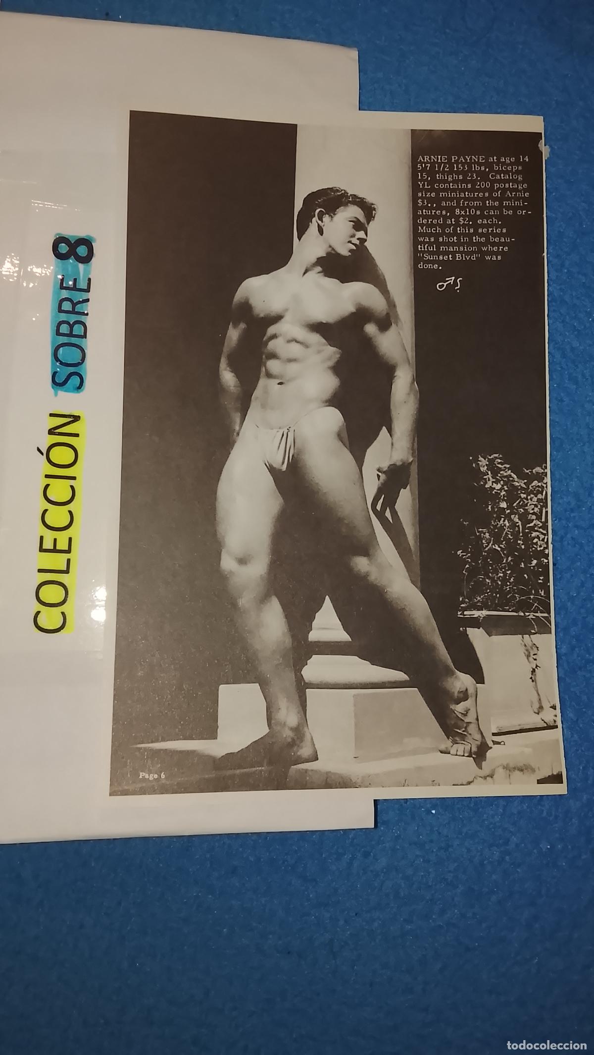 Paper Collecting Others: hoja tematica gay artistica fotografica o comic hombre erotico desnudos culturismo homo sexo EROTICA
