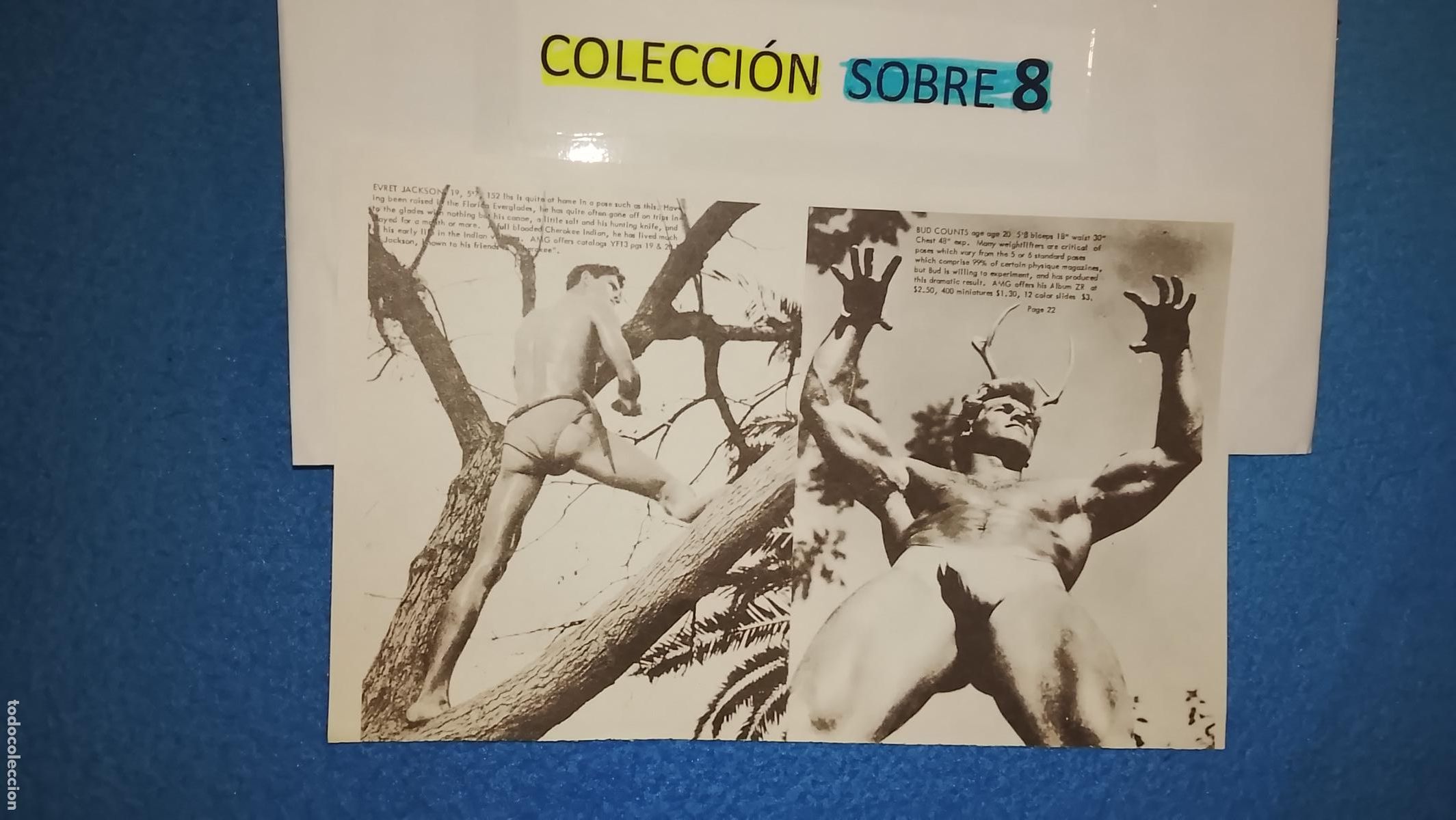 Paper Collecting Others: hoja tematica gay artistica fotografica o comic hombre erotico desnudos culturismo homo sexo EROTICA