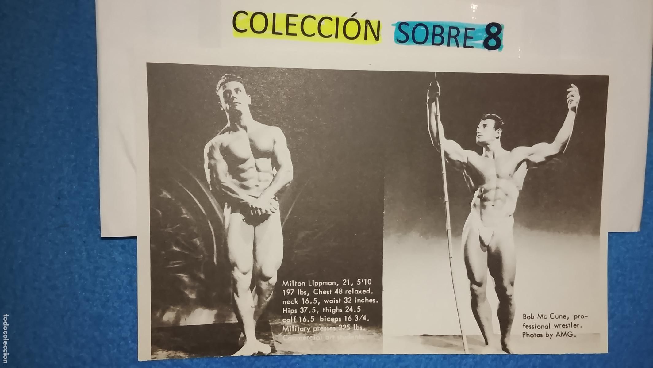 Otros Art&iacute;culos de Coleccionismo en Papel: hoja tematica gay artistica fotografica o comic hombre erotico desnudos culturismo homo sexo EROTICA