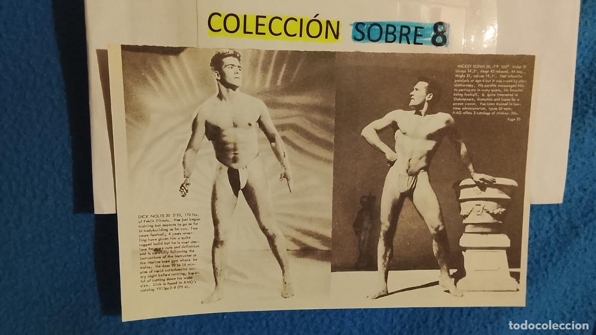 Paper Collecting Others: hoja tematica gay artistica fotografica o comic hombre erotico desnudos culturismo homo sexo EROTICA