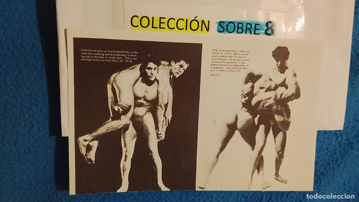 Paper Collecting Others: hoja tematica gay artistica fotografica o comic hombre erotico desnudos culturismo homo sexo EROTICA