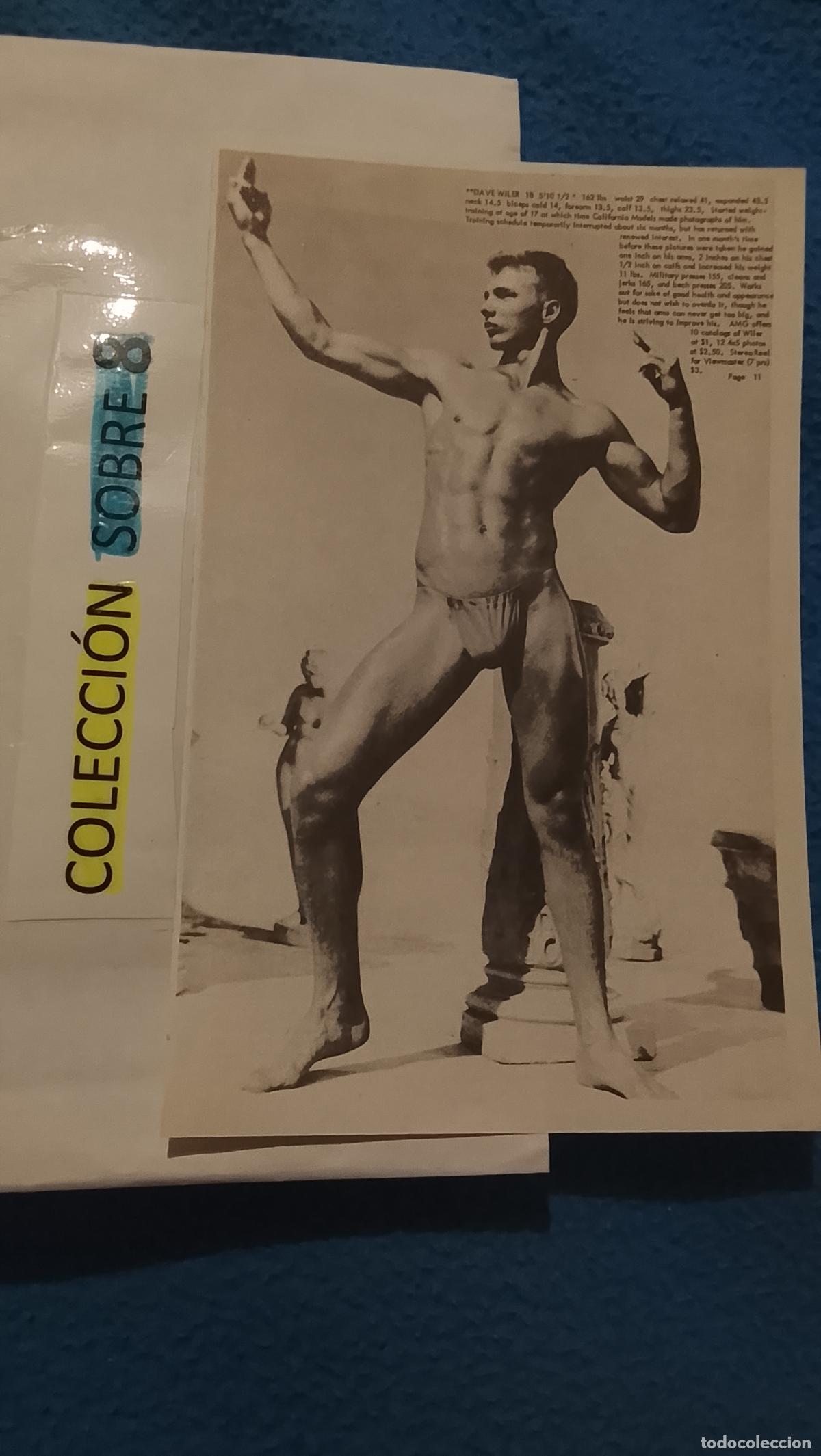 Otros Art&iacute;culos de Coleccionismo en Papel: hoja tematica gay artistica fotografica o comic hombre erotico desnudos culturismo homo sexo EROTICA