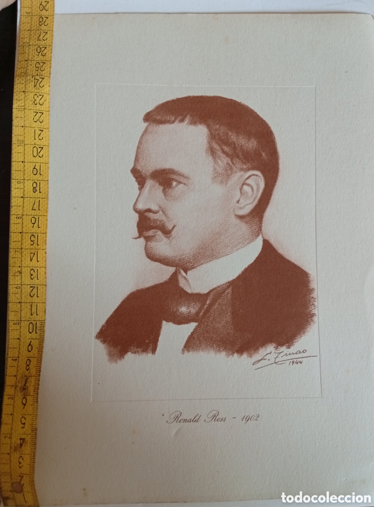 Otros Art&iacute;culos de Coleccionismo en Papel: Lote Premios nobel de Medicina l&aacute;minas litograf&iacute;cas lote de 19 unidades