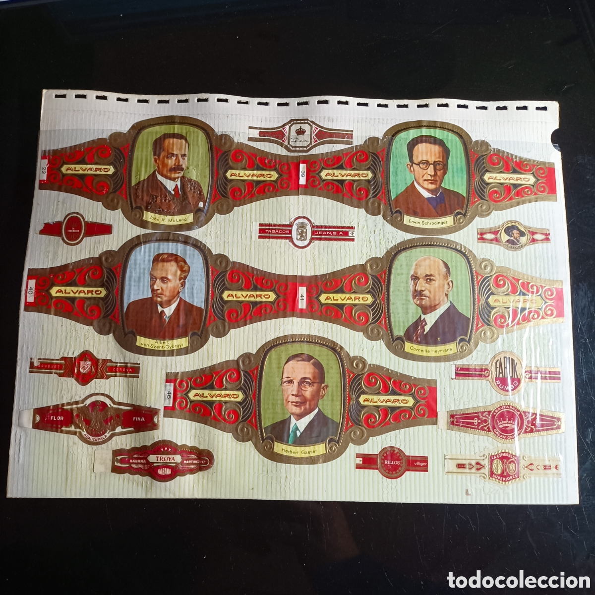 Otros Art&iacute;culos de Coleccionismo en Papel: BONITA COLECCI&Oacute;N VITOLAS PURO