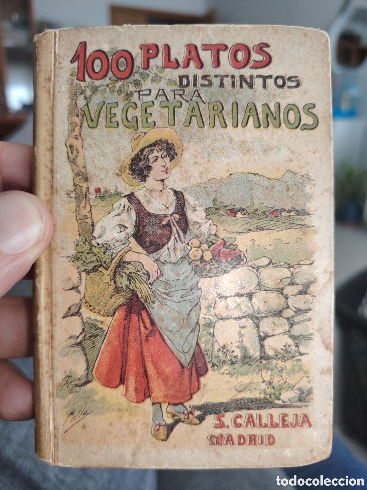 Collectionnisme Papier divers: 100 platos distintos para vegetarianos, calleja, 1876