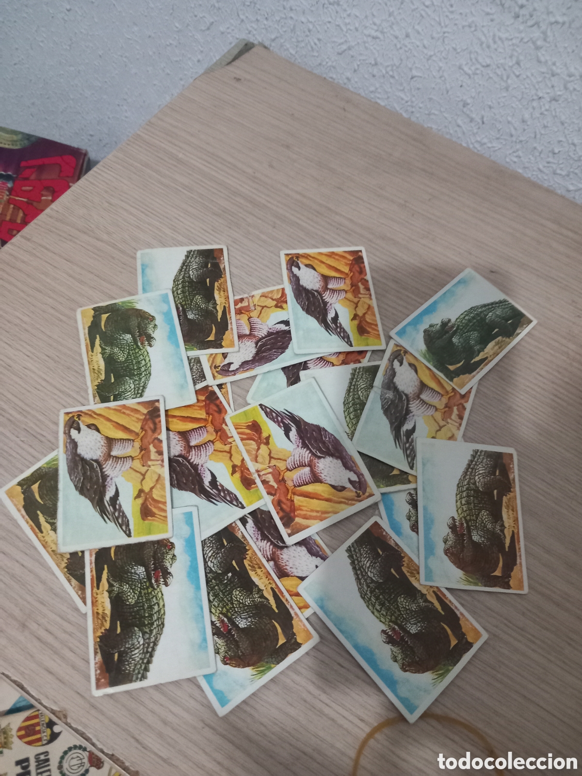 Otros Art&iacute;culos de Coleccionismo en Papel: 19 CROMOS VISION DE LA NATURALEZA SIN PEGAR,,VER FOTOS
