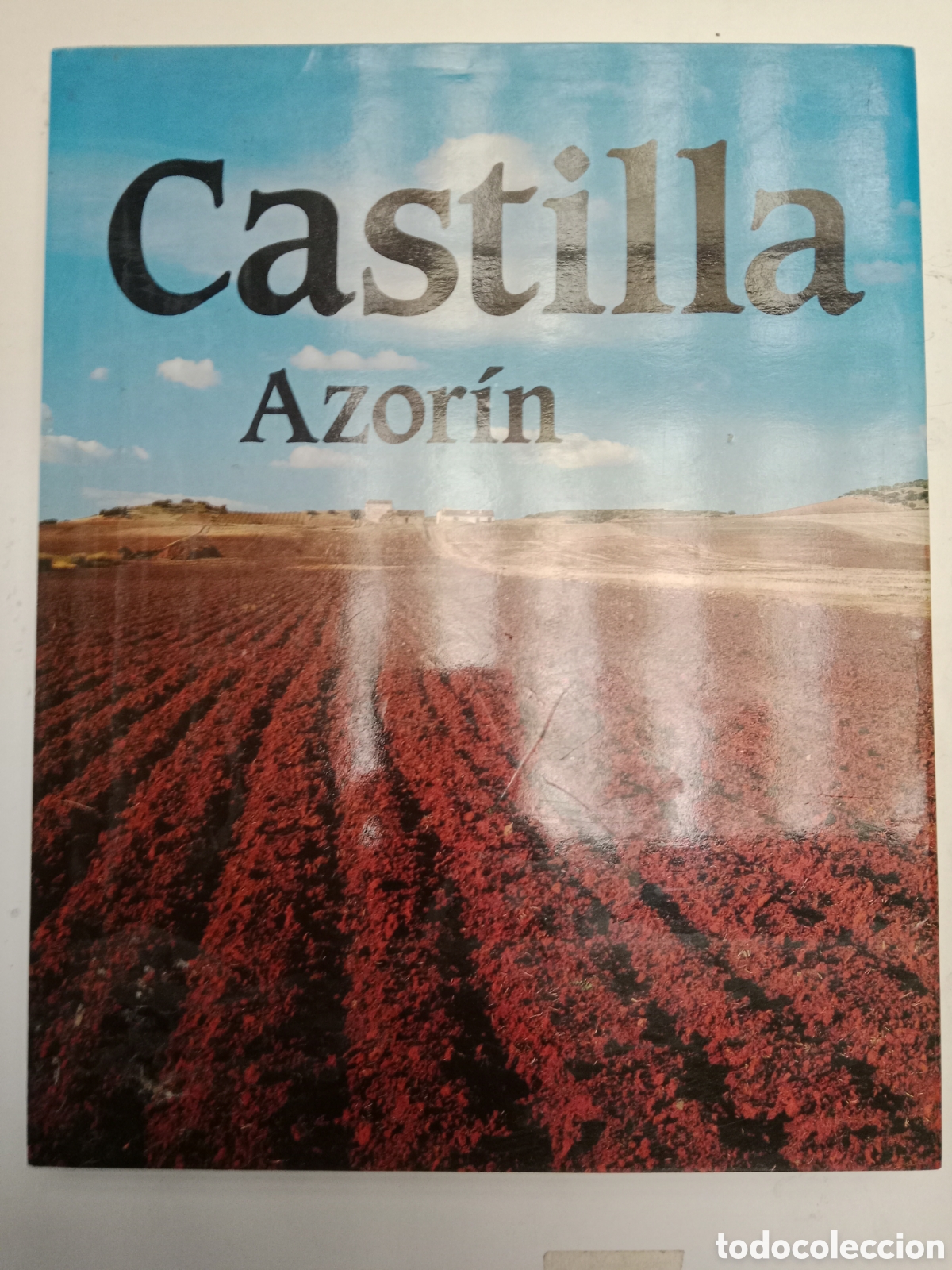 Otros Art&iacute;culos de Coleccionismo en Papel: Libro castilla azorin de 1983
