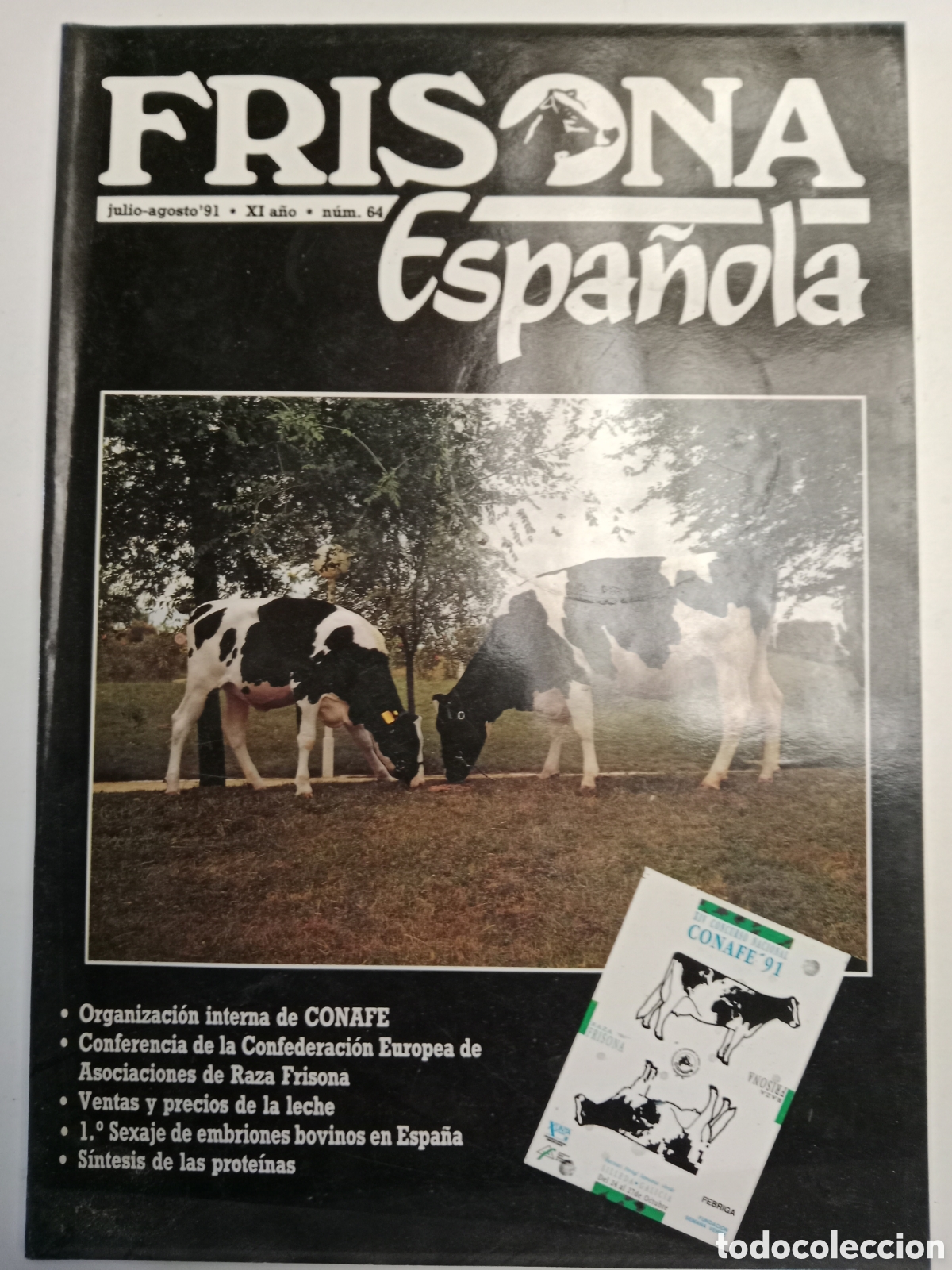 Otros Art&iacute;culos de Coleccionismo en Papel: Revista frisona espa&ntilde;ola n. 64 de 1991 ganader&iacute;a vacas