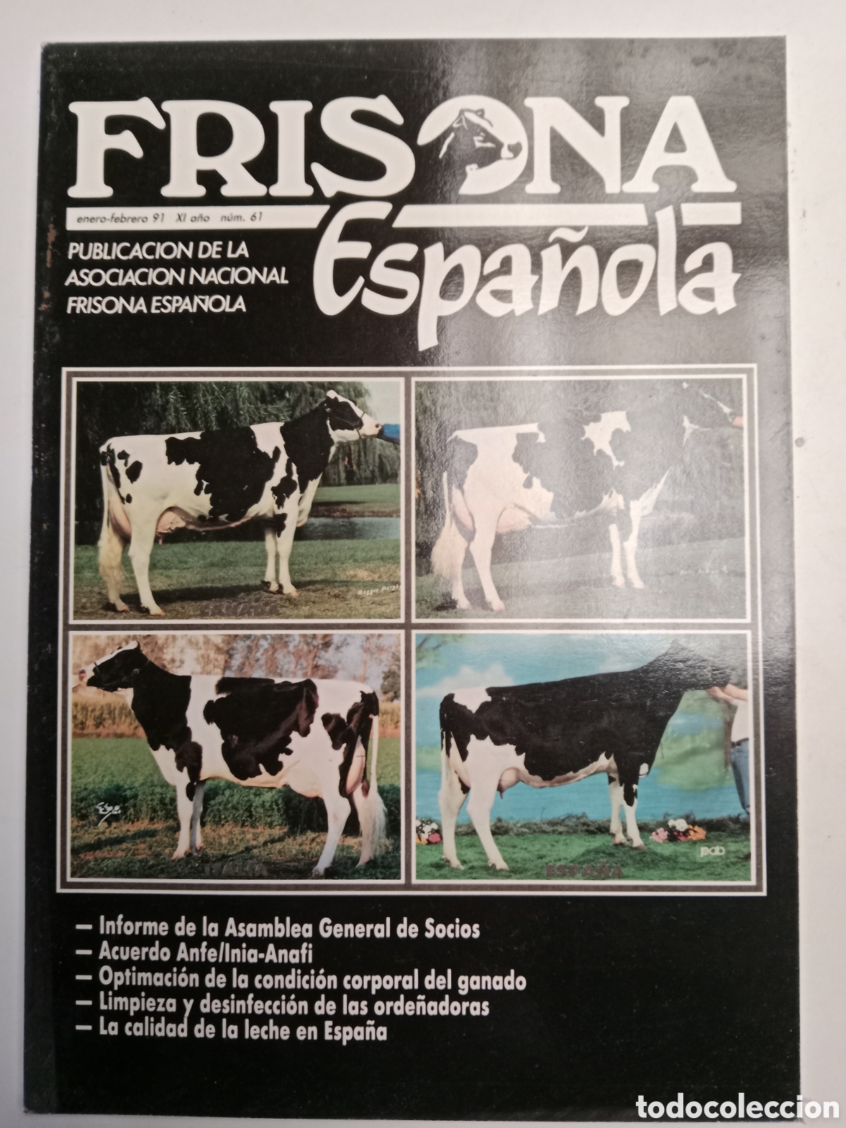 Otros Art&iacute;culos de Coleccionismo en Papel: Revista frisona espa&ntilde;ola n. 61 de 1991 ganader&iacute;a vacas