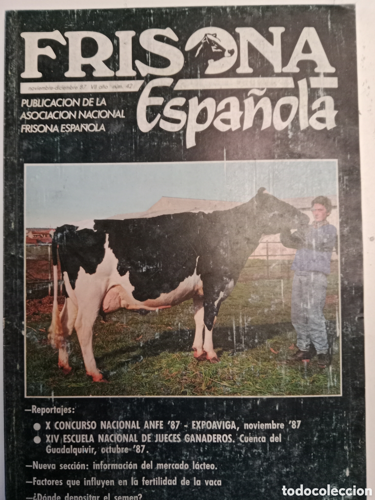 Otros Art&iacute;culos de Coleccionismo en Papel: Revista frisona espa&ntilde;ola n. 42 de 1987 ganader&iacute;a vacas
