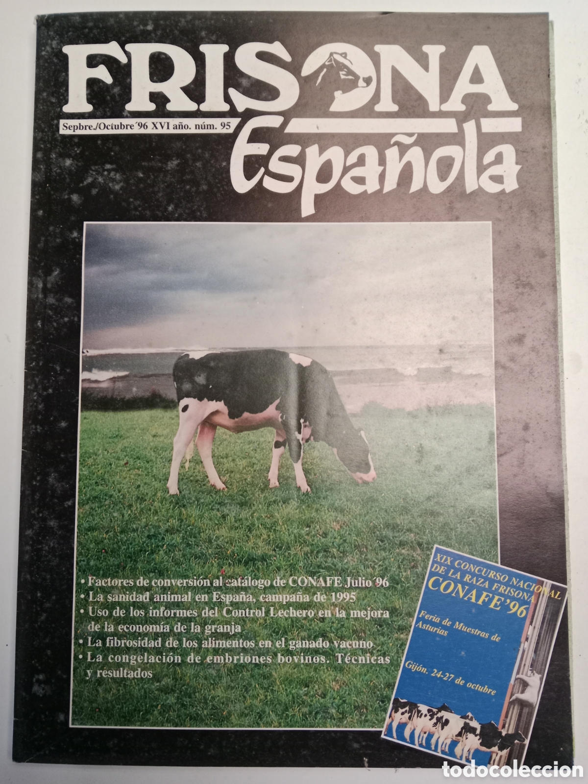 Sammelleidenschaft Andere Papierartikel: Revista frisona espa&ntilde;ola n. 95 de 1996 ganader&iacute;a vacas