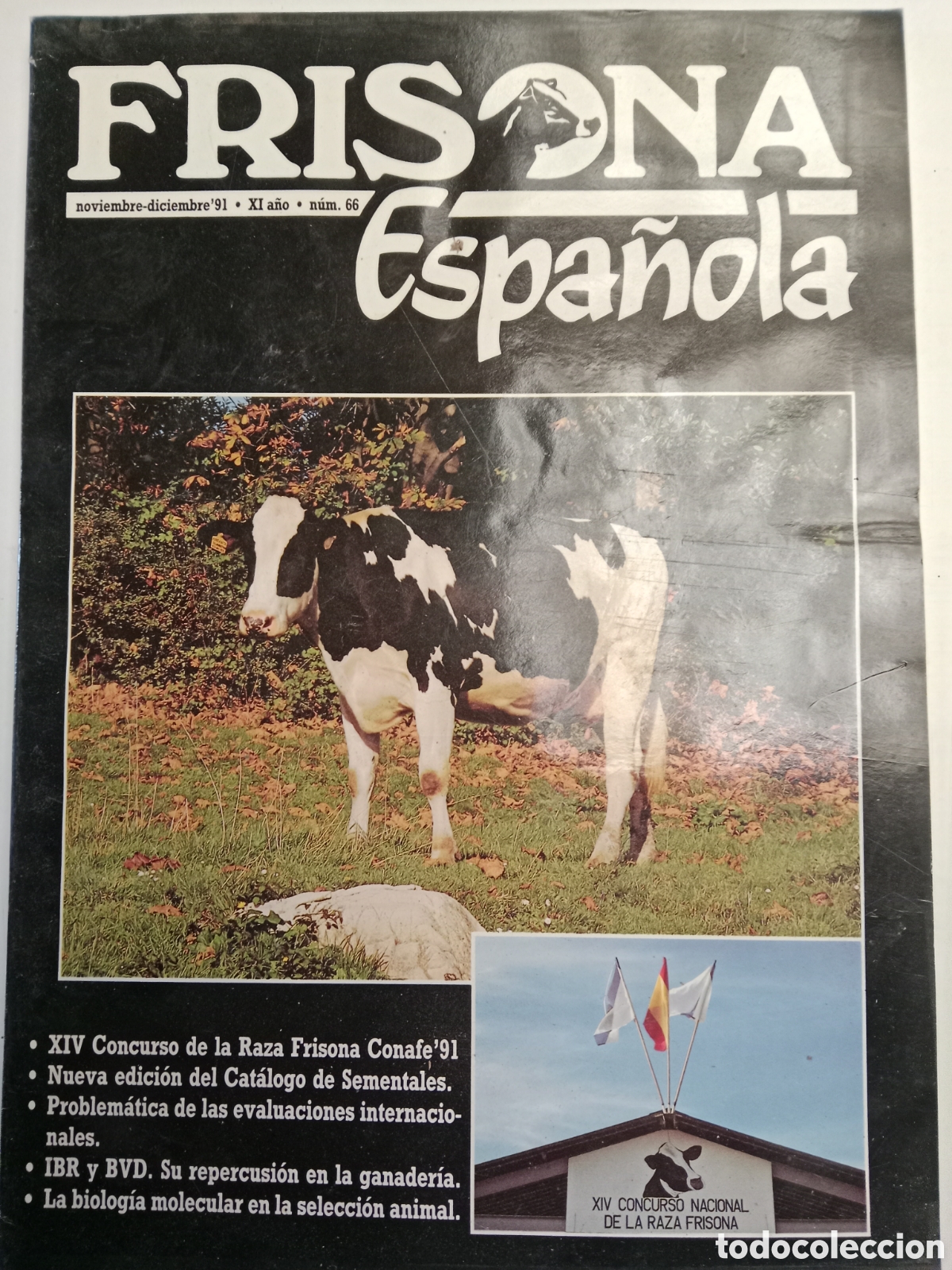 Sammelleidenschaft Andere Papierartikel: Revista frisona espa&ntilde;ola n. 66 de 1991 ganader&iacute;a vacas