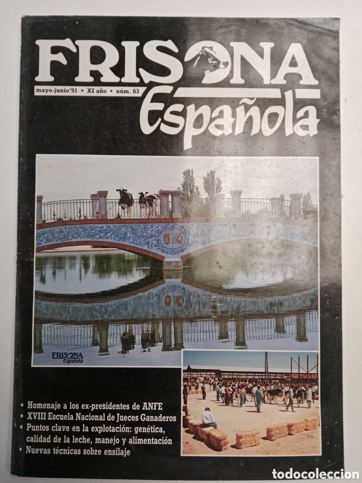 Sammelleidenschaft Andere Papierartikel: Revista frisona espa&ntilde;ola n. 63 de 1991 ganader&iacute;a vacas