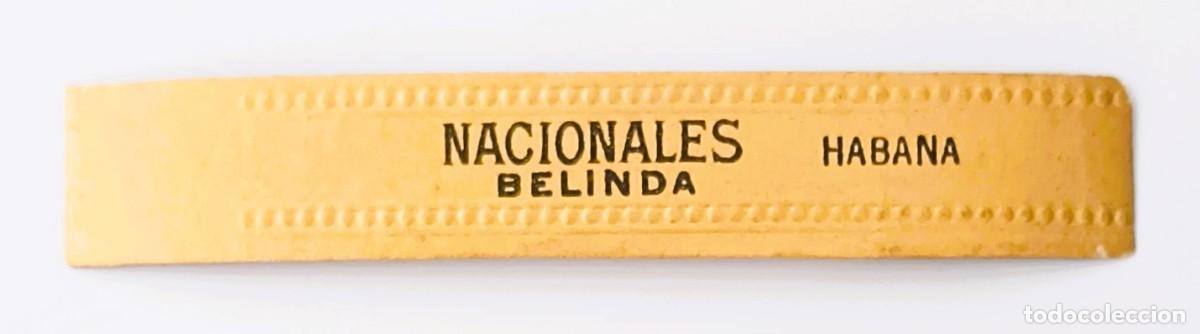 Sammelleidenschaft Andere Papierartikel: Chinchal, Cigar Band, Antigua Vitola de Coleccion, NACIONALES BELINDA, A556