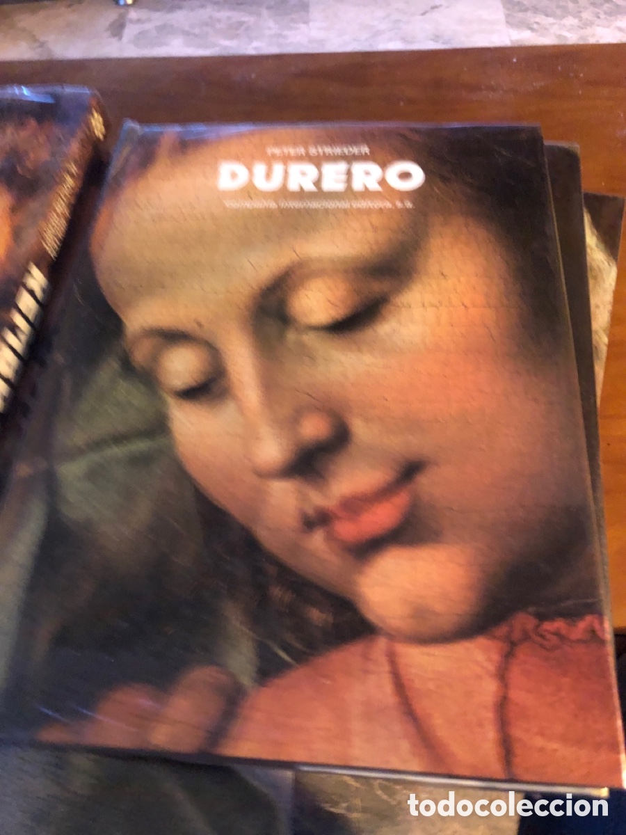 Paper Collecting Others: Libro de Durero. Peter Strieder. Carroggio